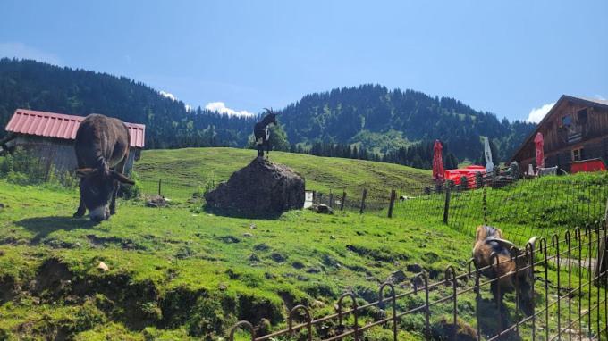 Vila Jausenstation Neuschwand Hittisau Exteriér fotografie