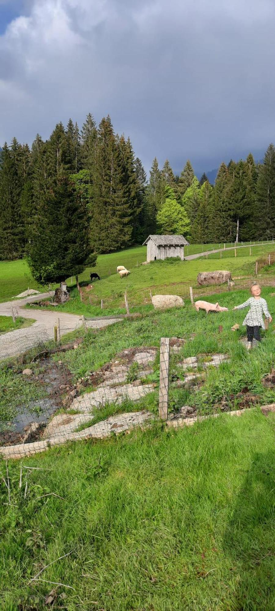 Vila Jausenstation Neuschwand Hittisau Exteriér fotografie