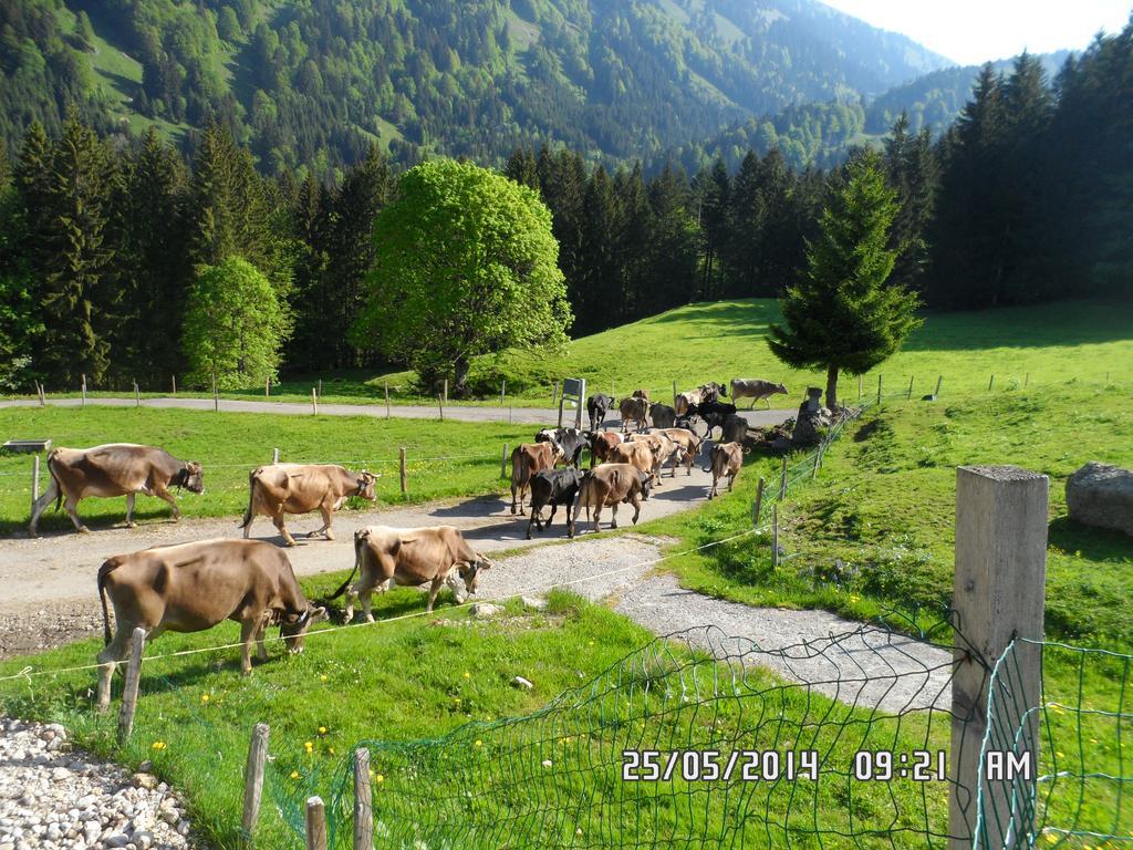 Vila Jausenstation Neuschwand Hittisau Exteriér fotografie