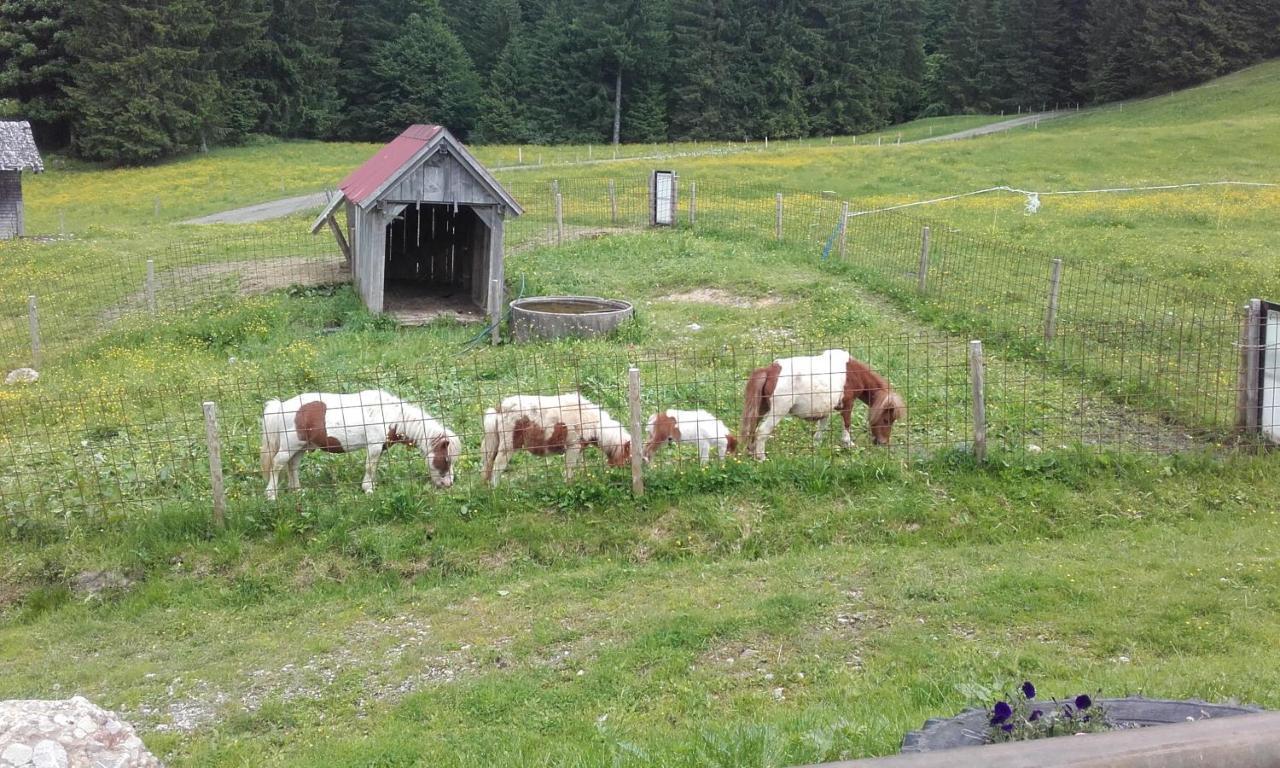 Vila Jausenstation Neuschwand Hittisau Exteriér fotografie